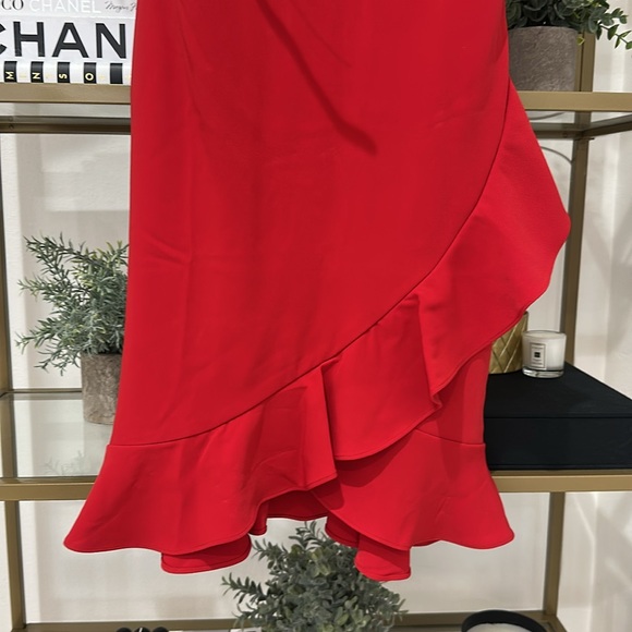 Ruffled-hem belted dress - Picture 10 of 12